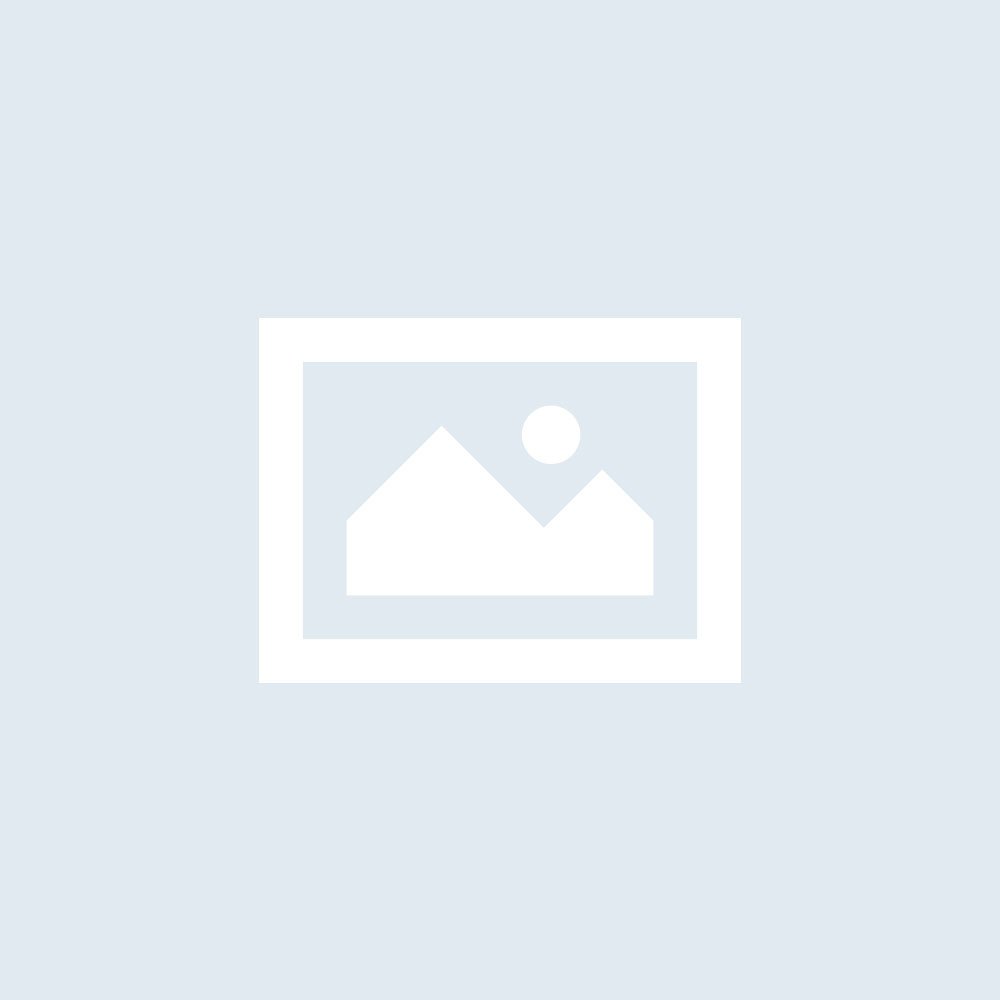 Website Basics