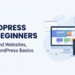 Website Development and WordPress