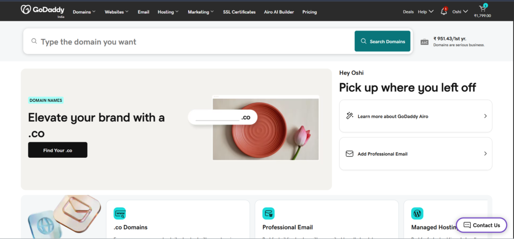 GoDaddy domain search screen