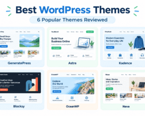 Popular WordPress themes comparison